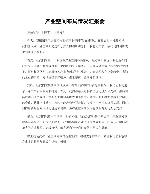产业空间布局情况汇报会