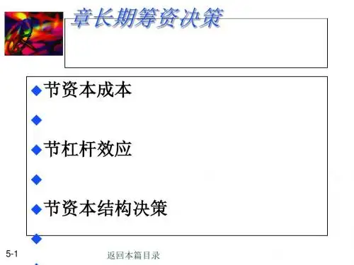 资本结构概述(PPT 79张)