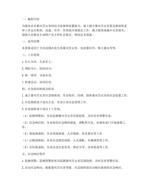 暴风雪应急预案