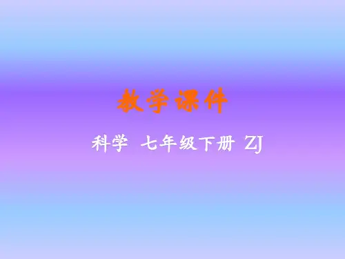 第4节植物的一生(PPT课件(初中科学)29张)