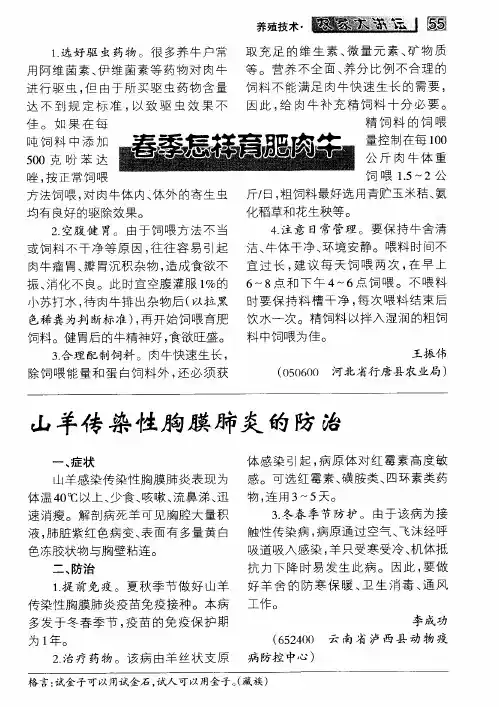 春季怎样育肥肉牛