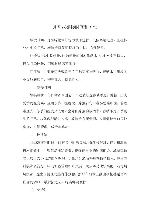 月季花嫁接时间和方法