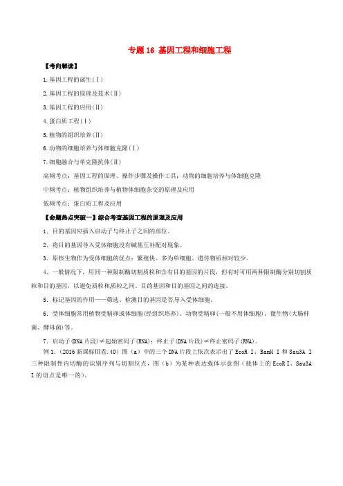 高考生物(考点解读+命题热点突破)专题16 基因工程和细胞工程