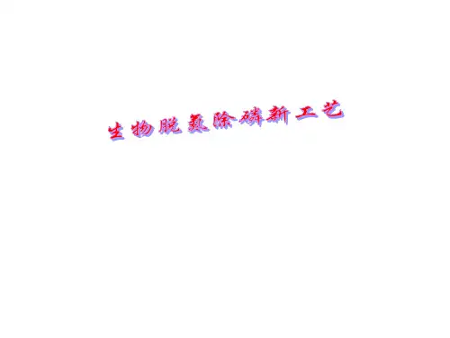 污水生物脱氮除磷新工艺PPT课件