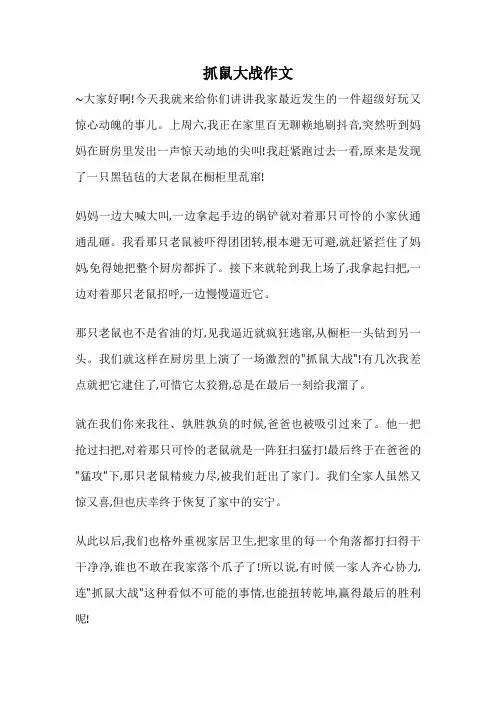 抓鼠大战作文