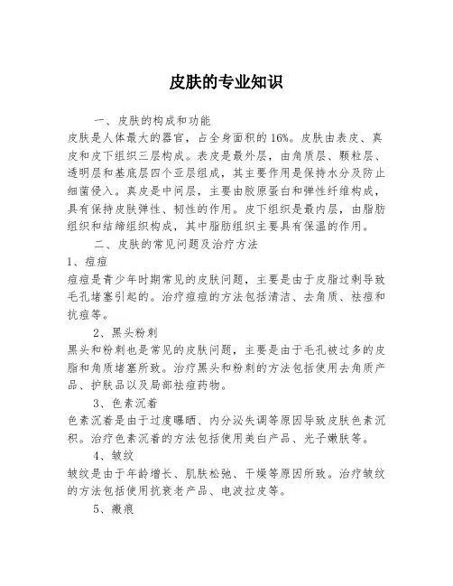 皮肤的专业知识