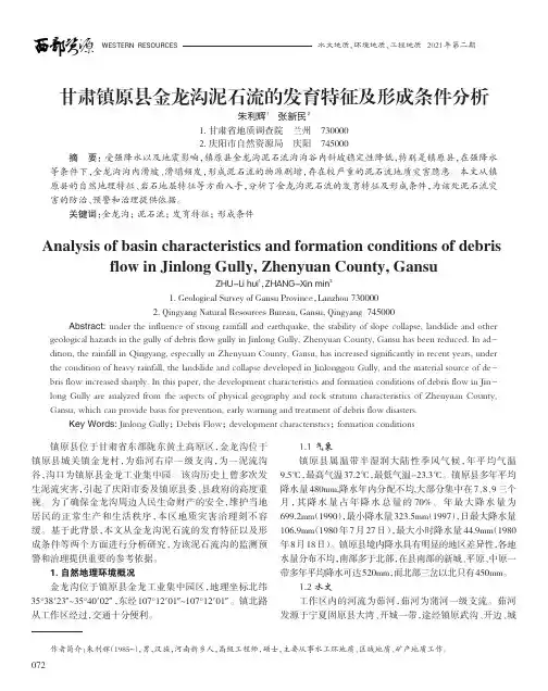 甘肃镇原县金龙沟泥石流的发育特征及形成条件分析