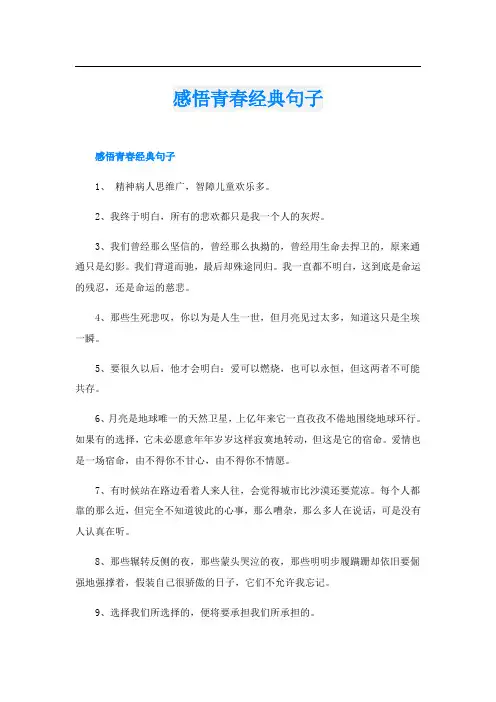 感悟青春经典句子