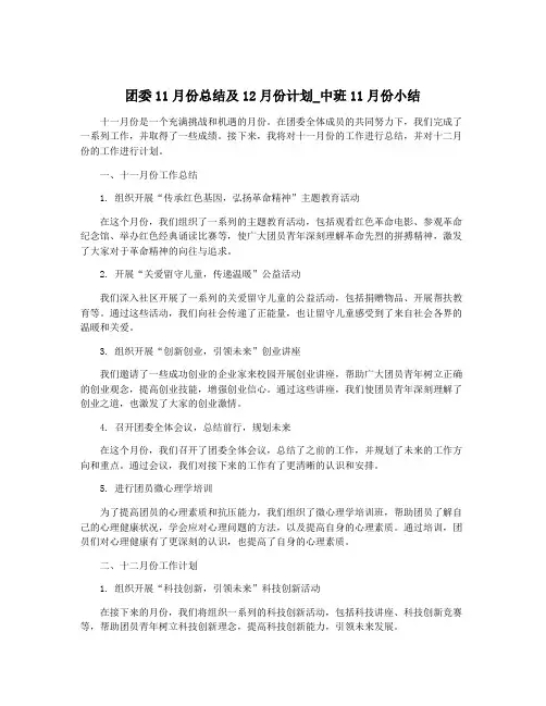 团委11月份总结及12月份计划_中班11月份小结