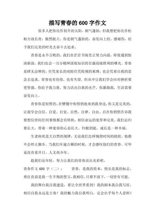 描写青春的600字作文(精编版)