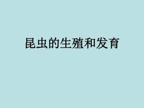 昆虫的生殖和发育