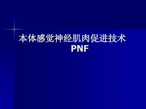 PNF技术 