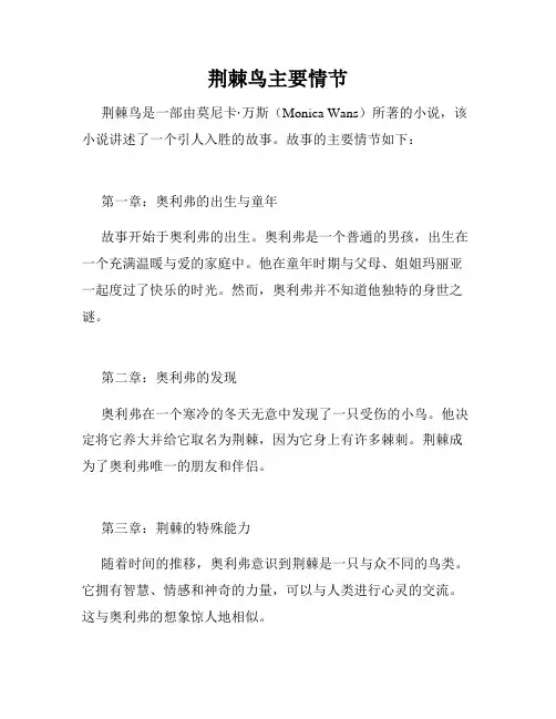 荆棘鸟主要情节