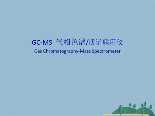 GCMS  气相色谱质谱联用仪(共46张PPT)