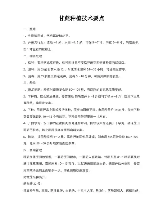 甘蔗种植技术要点