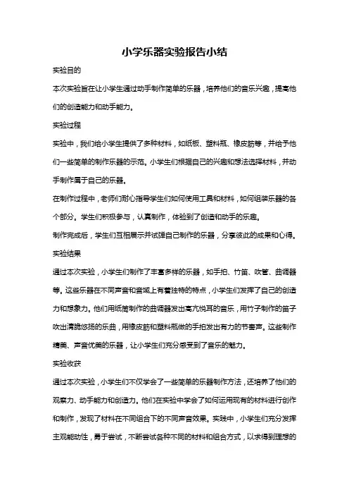 小学乐器实验报告小结