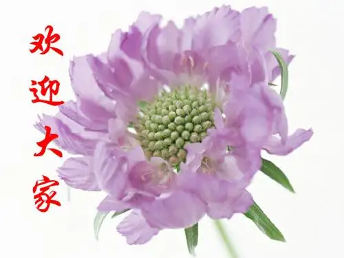 免疫学PPT课件之第二章免疫球蛋白与抗体