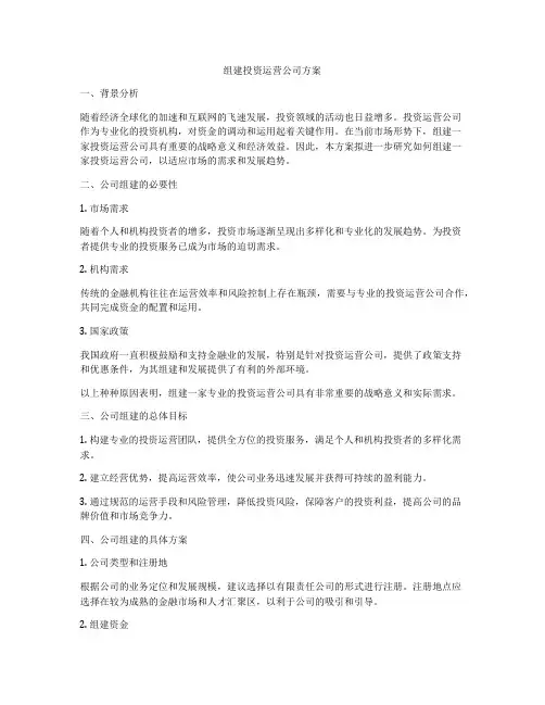 组建投资运营公司方案