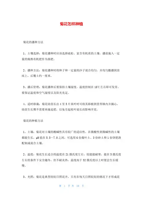 菊花怎样种植