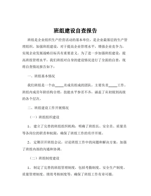 班组建设自查报告