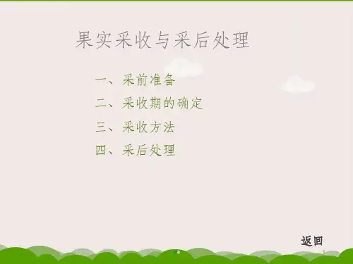 果实采收与采后处理