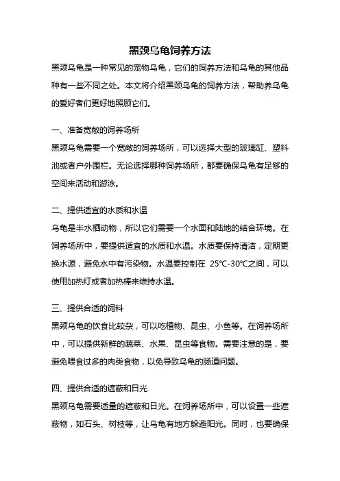 黑颈乌龟饲养方法