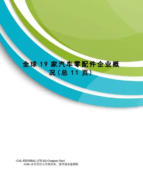 全球19家汽车零配件企业概况