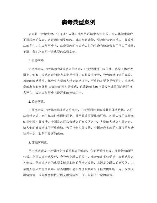 病毒典型案例