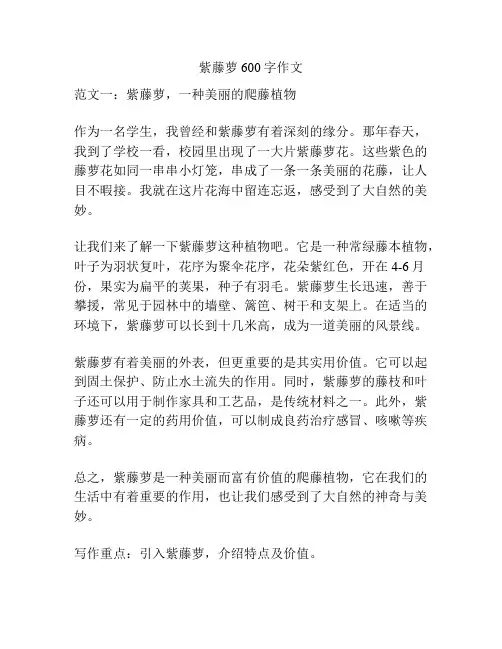 紫藤萝600字作文