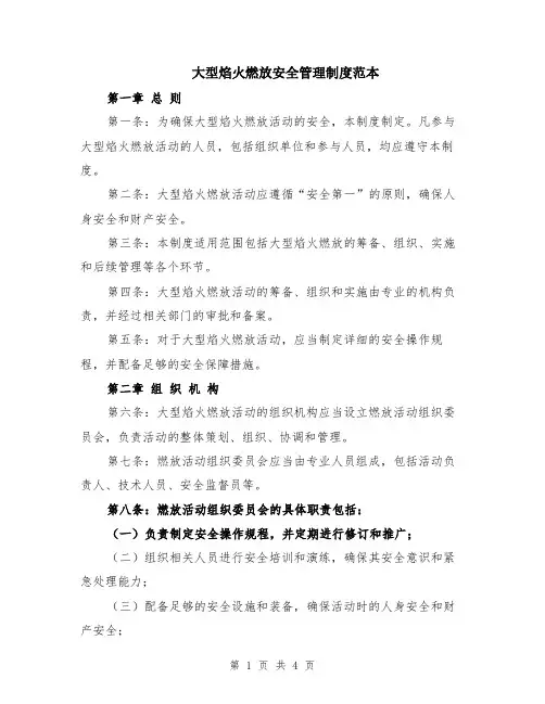 大型焰火燃放安全管理制度范本