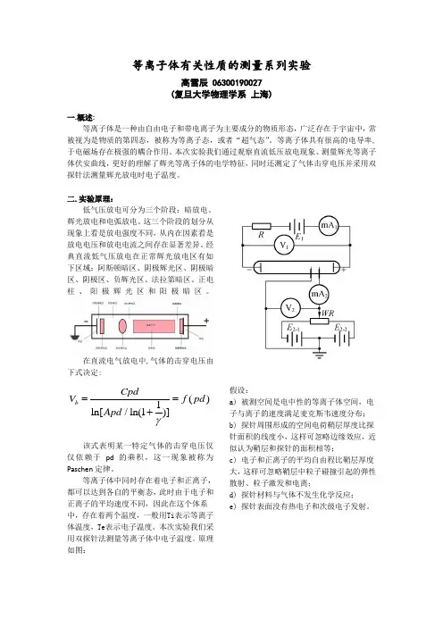 高雪辰-复旦大学物理教学中心