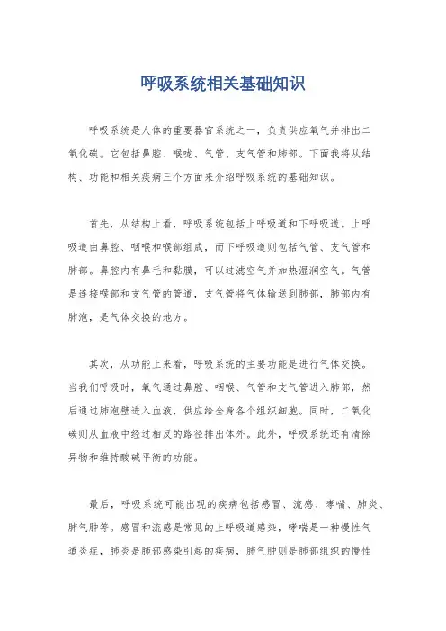 呼吸系统相关基础知识
