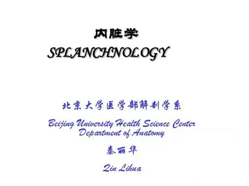 消化.呼吸.泌尿2010药学秦