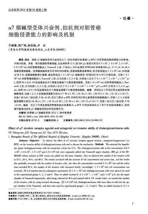 α7烟碱型受体兴奋剂、拮抗剂对胆管癌细胞侵袭能力的影响及机制