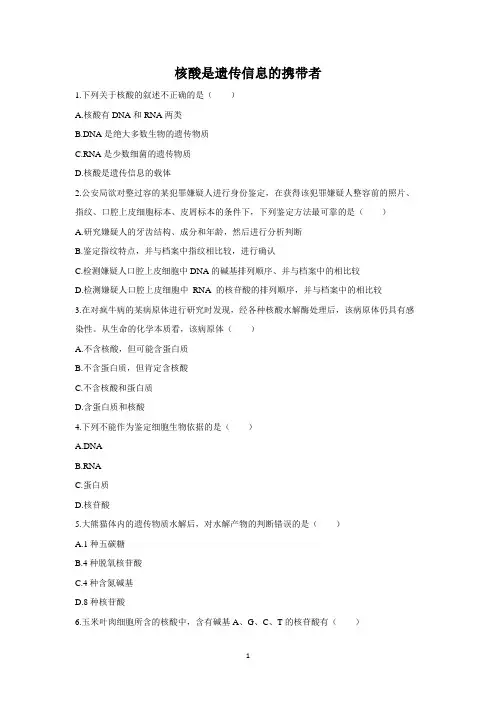 新人教版生物(2019)必修1核酸是遗传信息的携带者练习含答案