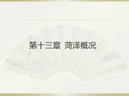 第十三章 菏泽概况