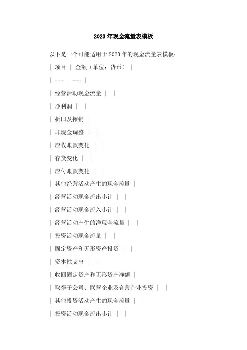 2023年现金流量表模板