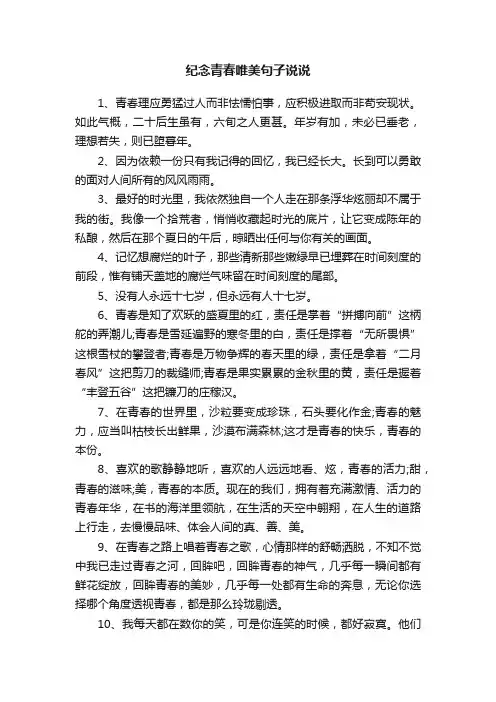 纪念青春唯美句子说说