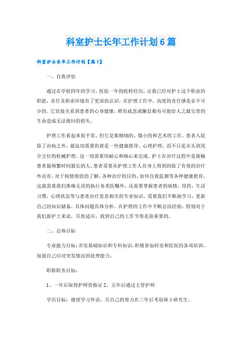 科室护士长年工作计划6篇