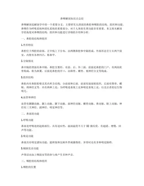 鼻咽解剖知识点总结