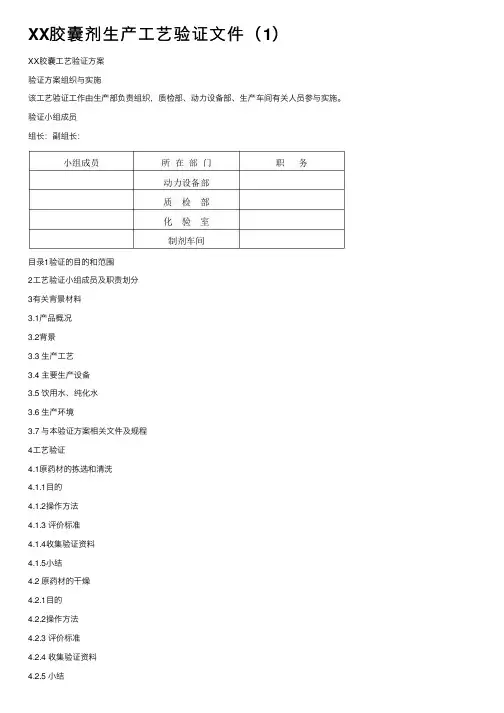 XX胶囊剂生产工艺验证文件（1）