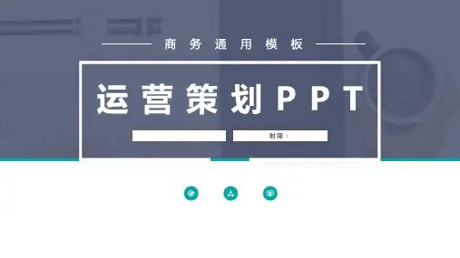 医美项目运营计划PPT