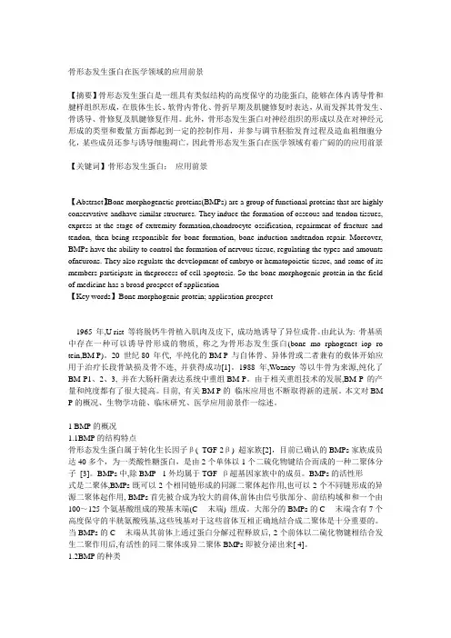 骨形态发生蛋白在医学领域的应用前景