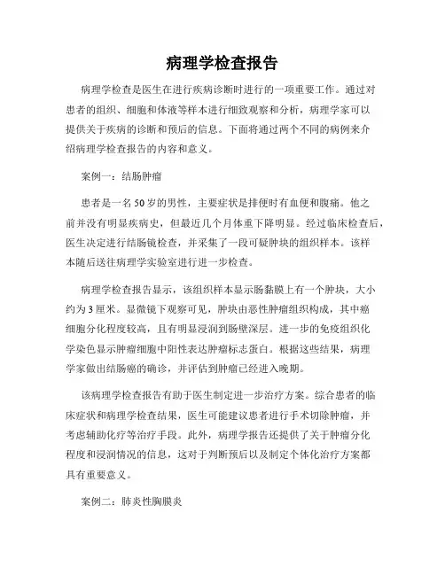 病理学检查报告