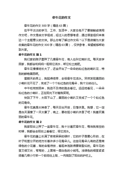 牵牛花的作文
