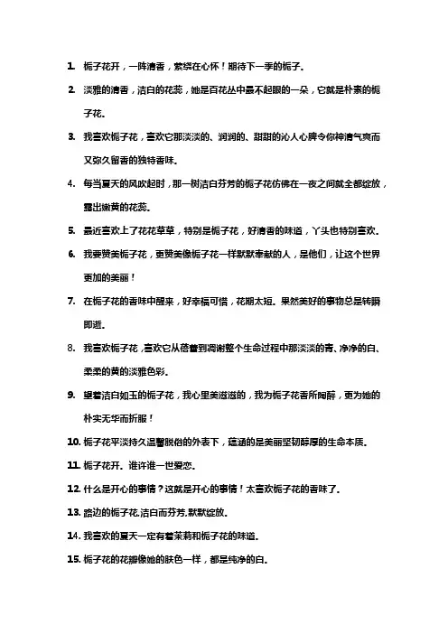 栀子花文案简短一句话