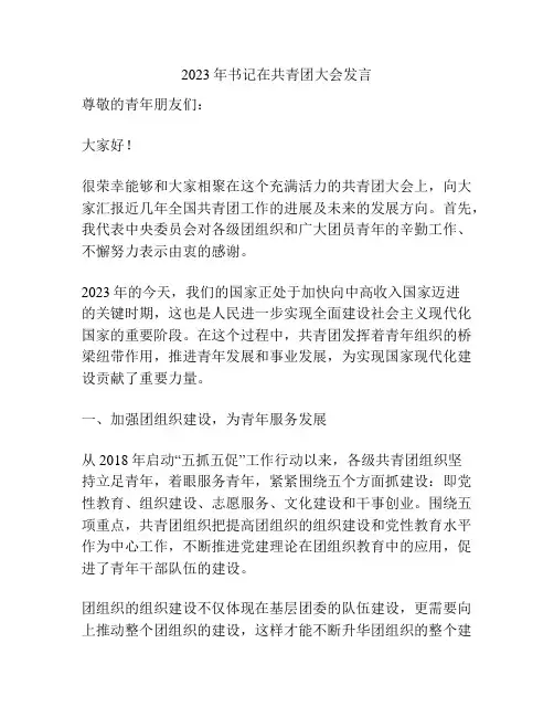 2023年书记在共青团大会发言