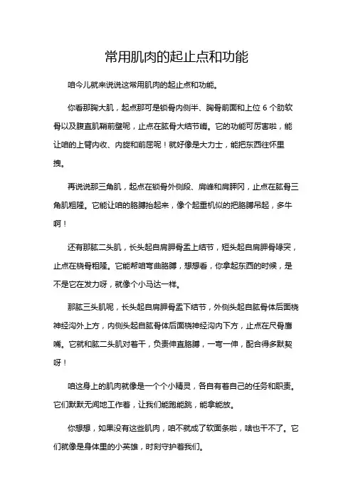 常用肌肉的起止点和功能