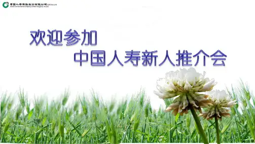 新人推介会创说会中国人寿版
