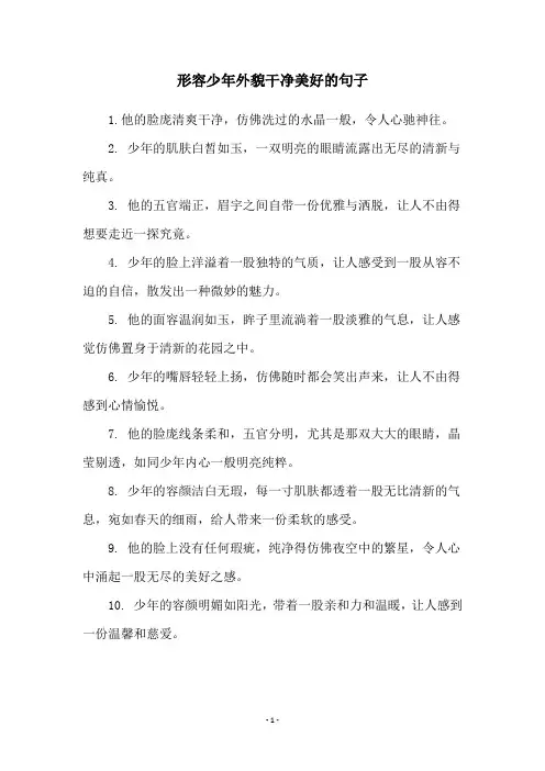形容少年外貌干净美好的句子